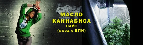 соль ск Ельня