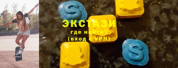 соль ск Ельня