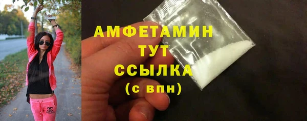 соль ск Ельня