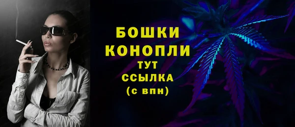 соль ск Ельня