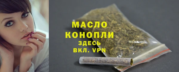 соль ск Ельня