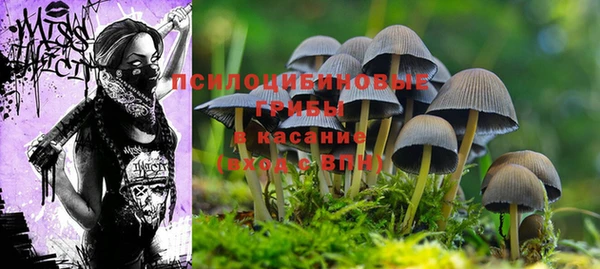 соль ск Ельня