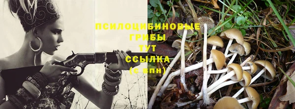 меф Елизово