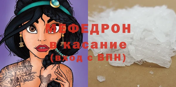 соль ск Ельня