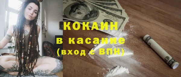 соль ск Ельня