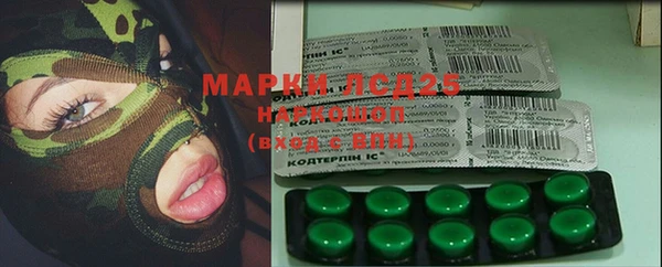 соль ск Ельня