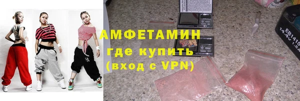 соль ск Ельня