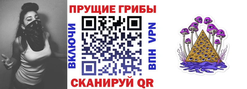 Галлюциногенные грибы Psilocybine cubensis  mega маркетплейс  Козловка 