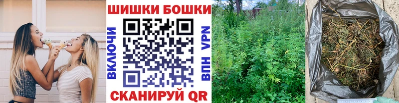 Канабис OG Kush  Козловка 